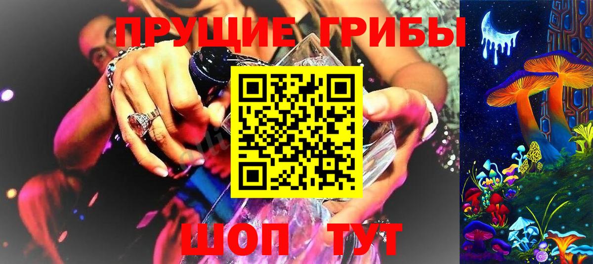 Тара  Галлюциногенные грибы Psilocybe  хочу   Галлюциногенные грибы MAGIC MUSHROOMS  Вход с VPN 